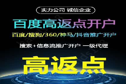 某某sem广告公司成功案例：如何通过SEM优化提高电商销售额